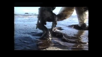 Nunca máis (Hai que botalos!)