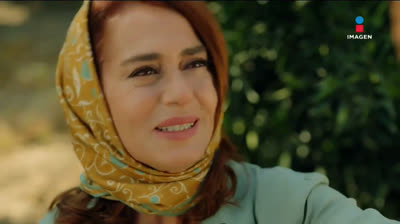 TA  // Capítulo 257