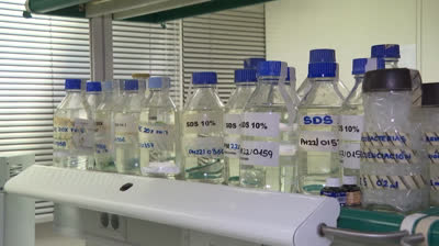 España comprará la vacuna Imvanex contra la viruela del mono