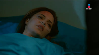 TA  // Capítulo 334