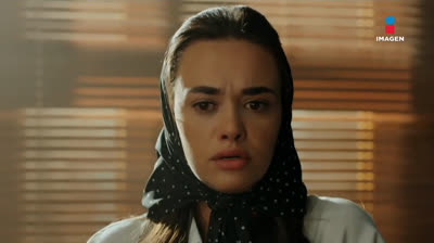 TA  // Capítulo 356