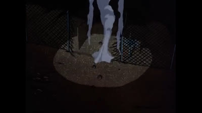 BATMAN ANIMATED SÉRIES 80